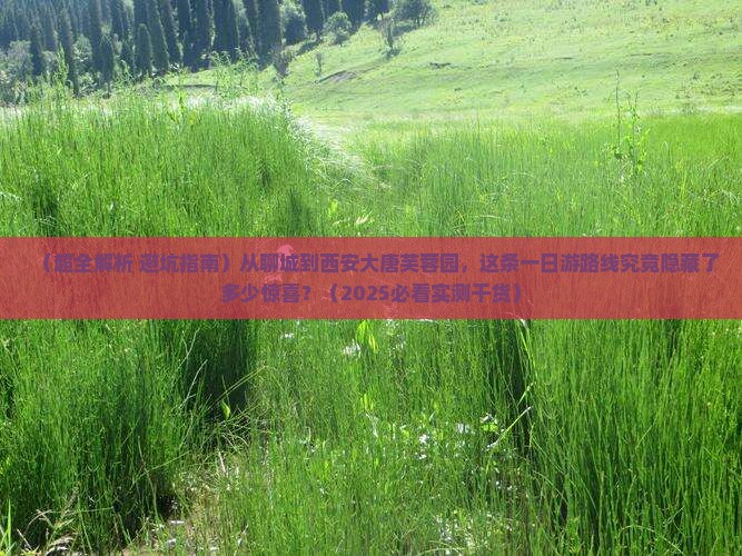 聊城去西安大唐芙蓉园一日游