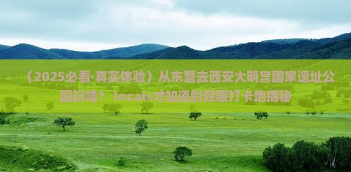 东营到西安大明宫国家遗址公园哪里玩