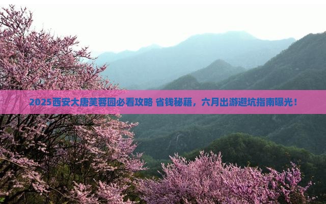 六月到西安大唐芙蓉园旅游