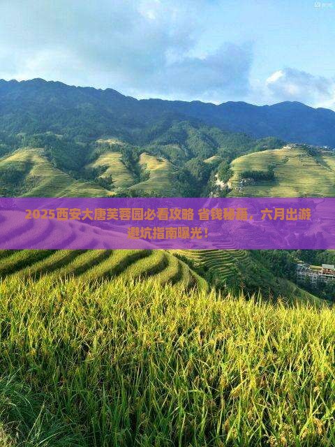 六月到西安大唐芙蓉园旅游