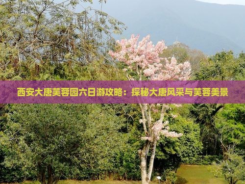 龙岩到西安大唐芙蓉园六日游 龙岩到西安大唐芙蓉园六日游
