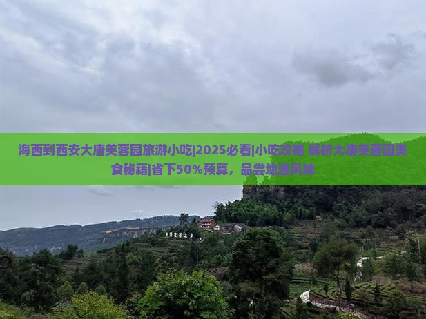 海西到西安大唐芙蓉园旅游小吃