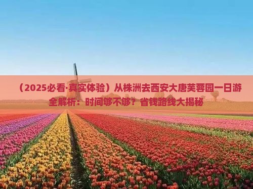 株洲到西安大唐芙蓉园一日游