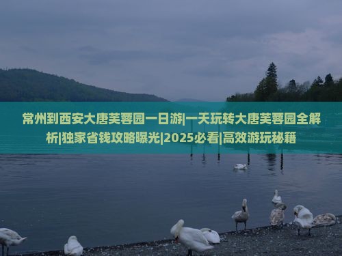 常州到西安大唐芙蓉园一日游