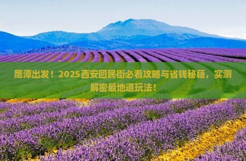 鹰潭去西安回民街景点