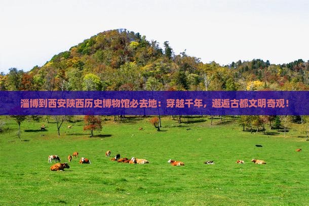 淄博到西安陕西历史博物馆必去地
