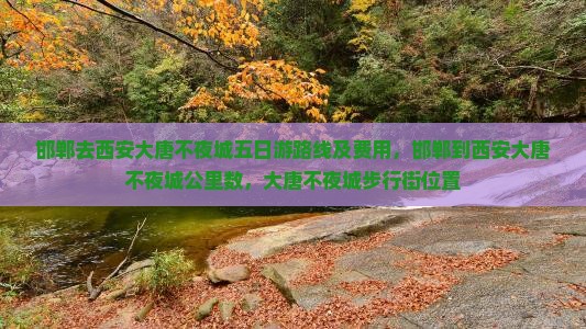 邯郸去西安大唐不夜城五日游