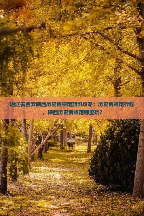 通辽去西安陕西历史博物馆哪里玩