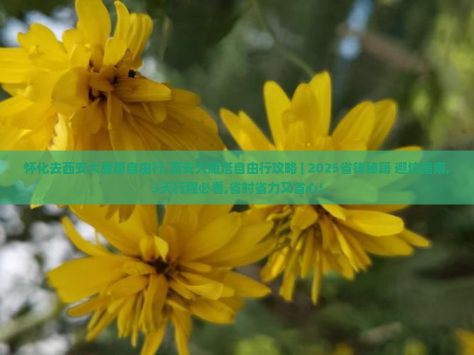 怀化去西安大雁塔自由行