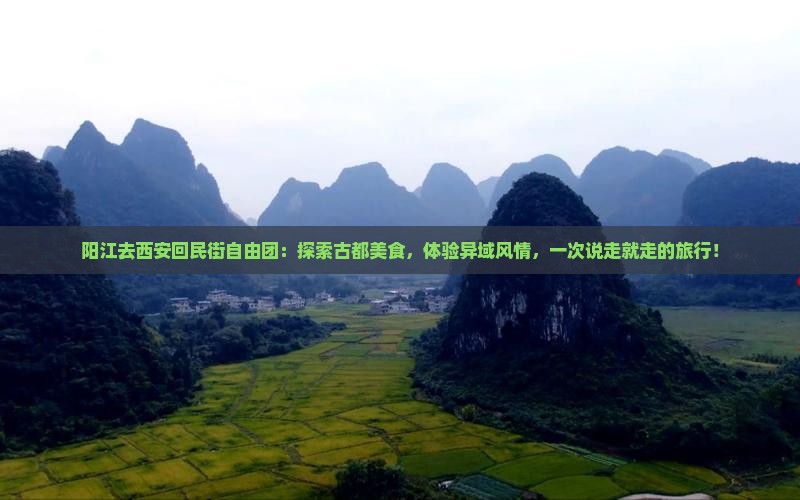 阳江去西安回民街自由团