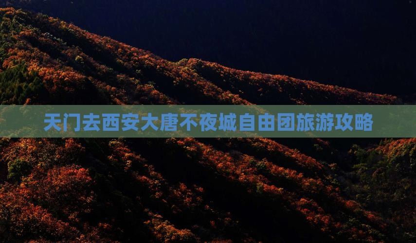 天门去西安大唐不夜城自由团