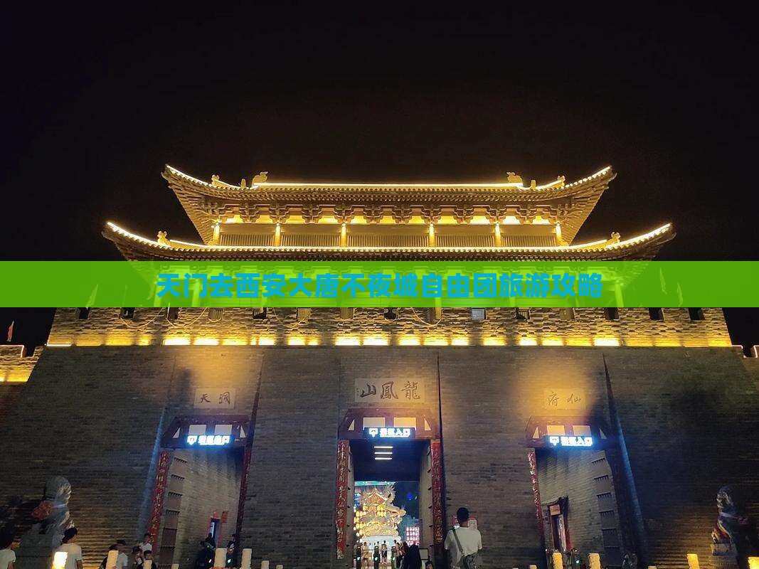 天门去西安大唐不夜城自由团
