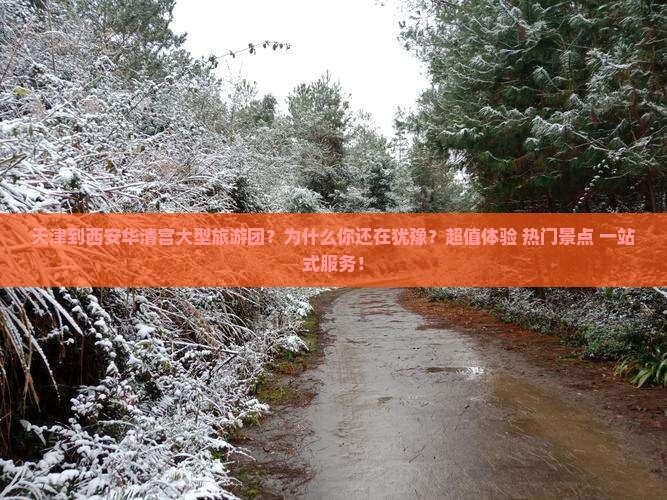 天津到西安华清宫大型旅游团