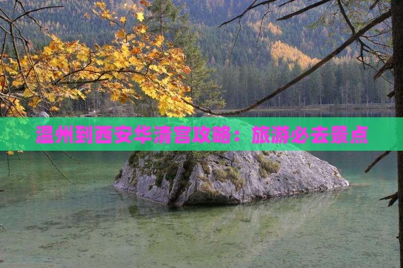温州到西安华清宫哪里玩
