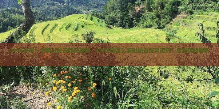 济南到西安秦始皇帝陵博物院七日游