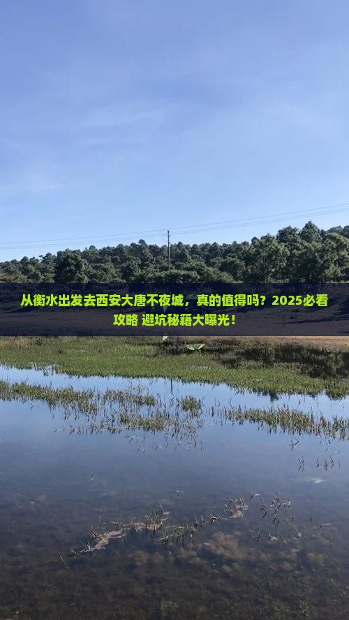 衡水去西安大唐不夜城景点