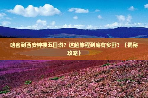 哈密到西安钟楼五日游