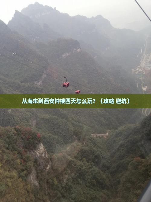 海东去西安钟楼四日游