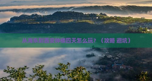 海东去西安钟楼四日游