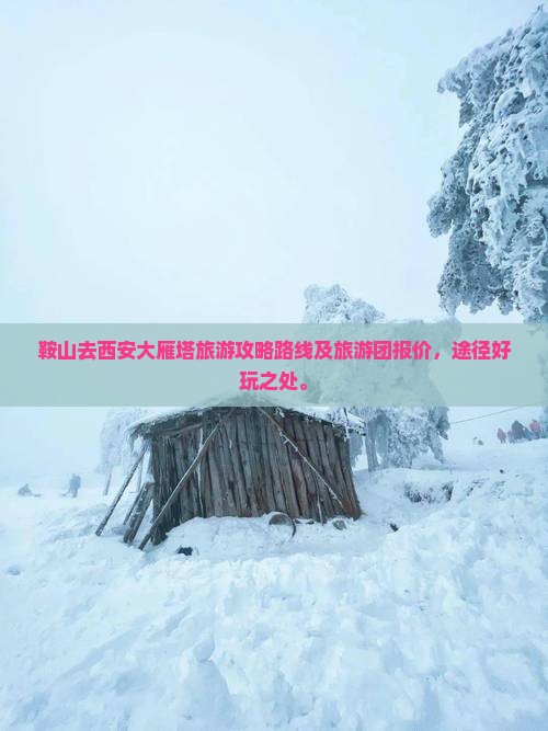 鞍山去西安大雁塔旅游