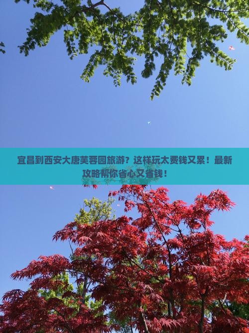 宜昌到西安大唐芙蓉园旅游