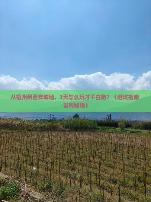 梧州去西安城墙旅游 梧州去西安城墙旅游