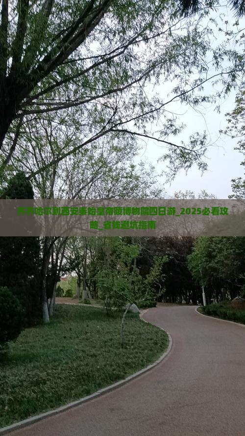 齐齐哈尔到西安秦始皇帝陵博物院四日游