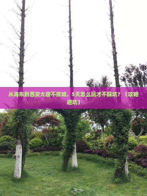 海东去西安大唐不夜城攻略
