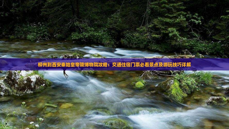 柳州到西安秦始皇帝陵博物院攻略