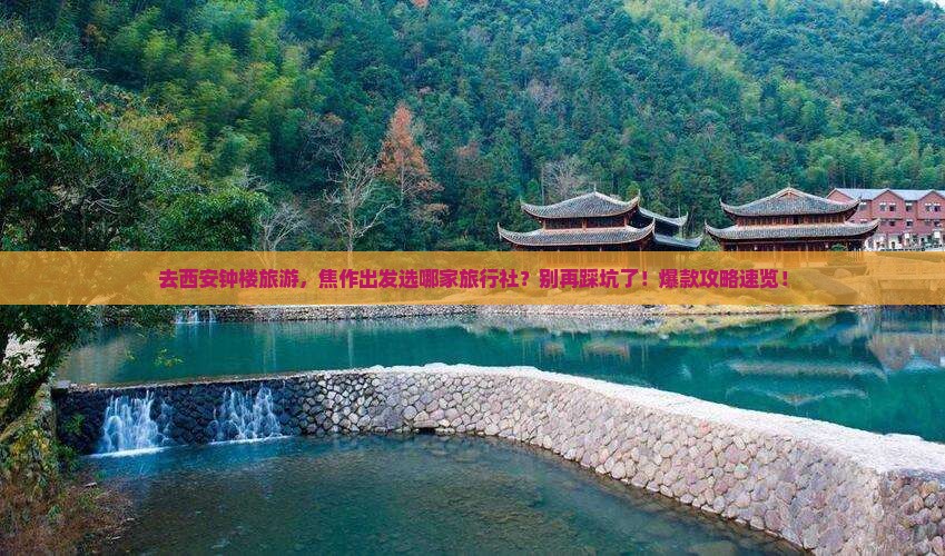 焦作到西安钟楼旅行社