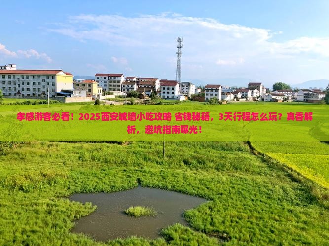孝感去西安城墙旅游小吃