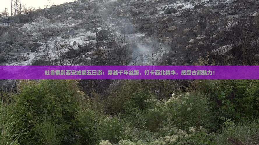 吐鲁番到西安城墙五日游