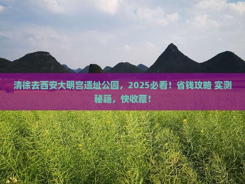 清徐去西安大明宫国家遗址公园景点