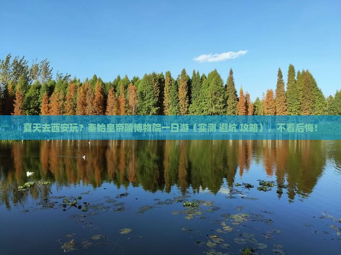 夏天到西安秦始皇帝陵博物院一日游