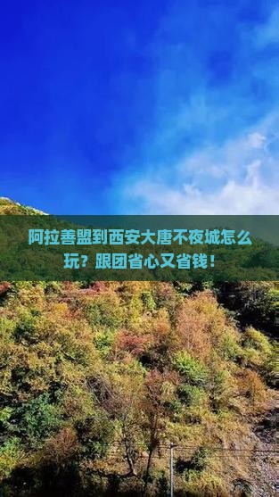 阿拉善盟到西安大唐不夜城大型旅游团