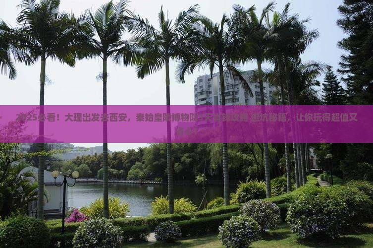 大理到西安秦始皇帝陵博物院攻略