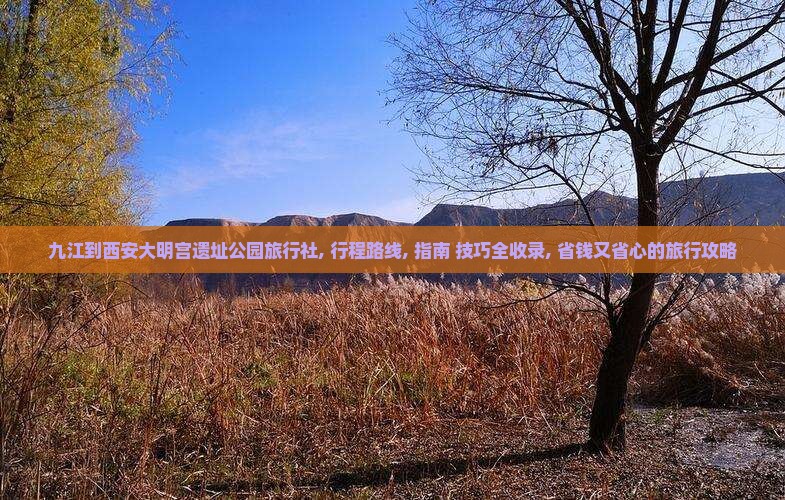 九江到西安大明宫国家遗址公园旅行社
