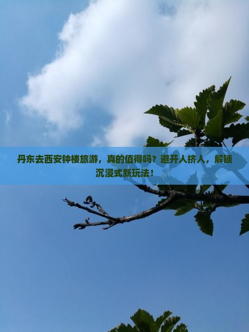 丹东去西安钟楼旅游