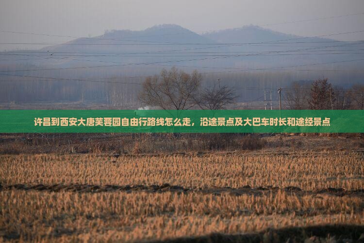 许昌到西安大唐芙蓉园自由行