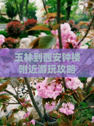 玉林到西安钟楼哪里玩