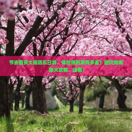 中秋节到西安大雁塔五日游