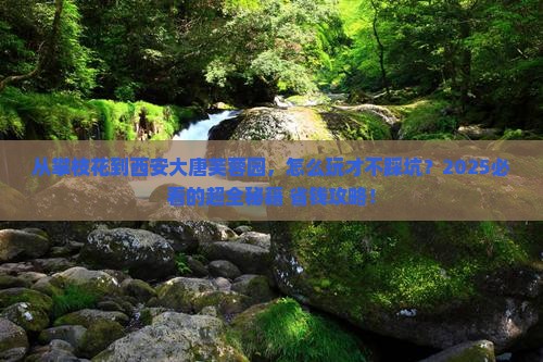 攀枝花到西安大唐芙蓉园攻略