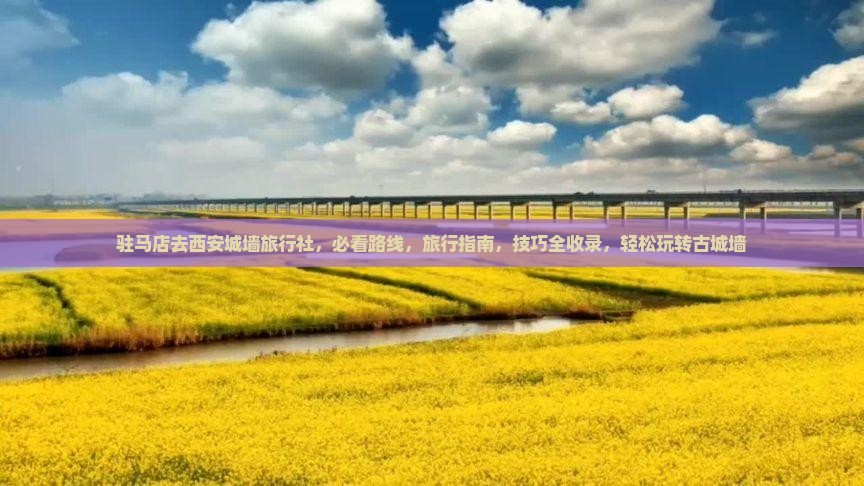 驻马店去西安城墙旅行社