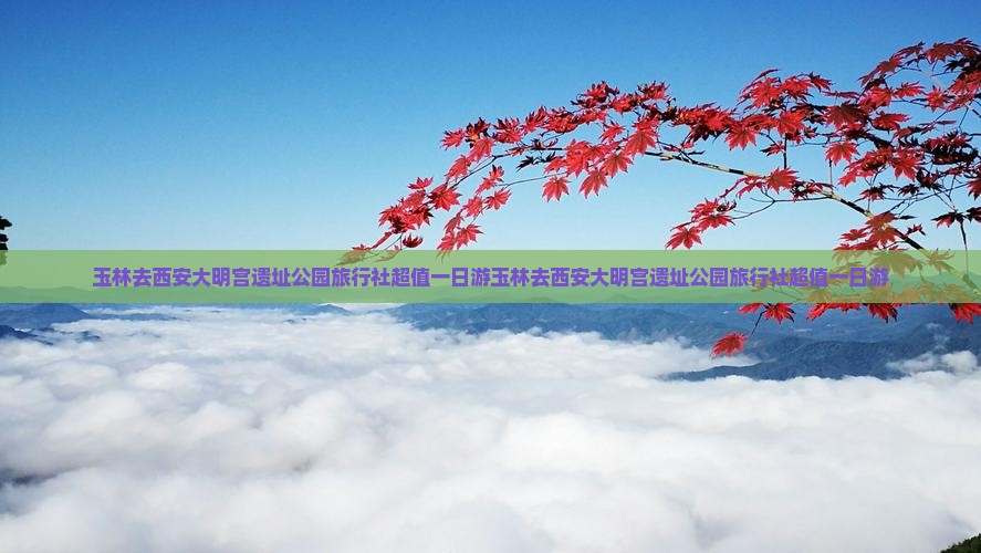 玉林去西安大明宫国家遗址公园旅行社