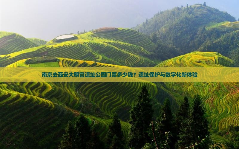 南京去西安大明宫遗址公园门票多少钱？遗址保护与数字化新体验