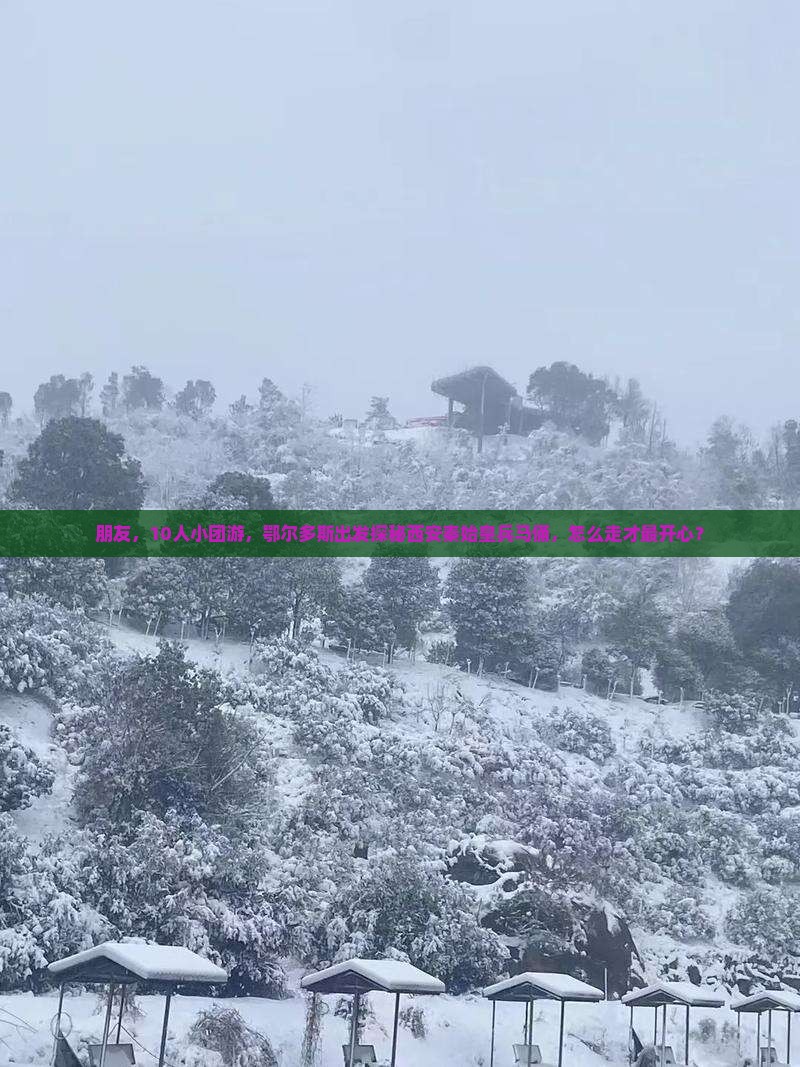 朋友，10人小团游，鄂尔多斯出发探秘西安秦始皇兵马俑，怎么走才最开心？