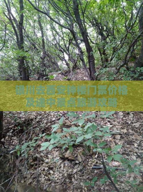 银川去西安钟楼门票价格及途中景点旅游攻略