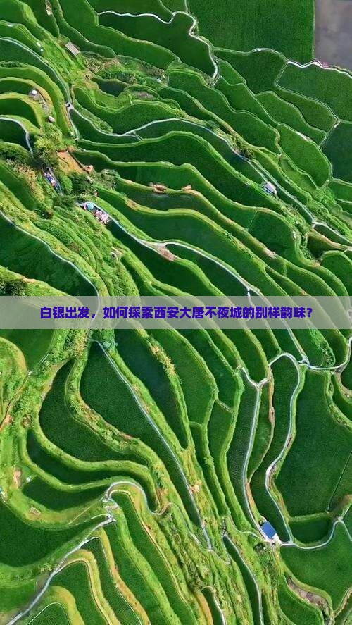 白银出发，如何探索西安大唐不夜城的别样韵味？