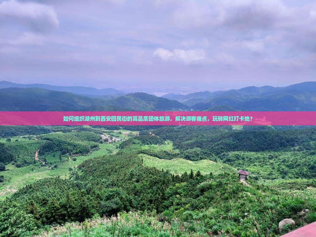 如何组织湖州到西安回民街的高品质团体旅游，解决游客痛点，玩转网红打卡地？