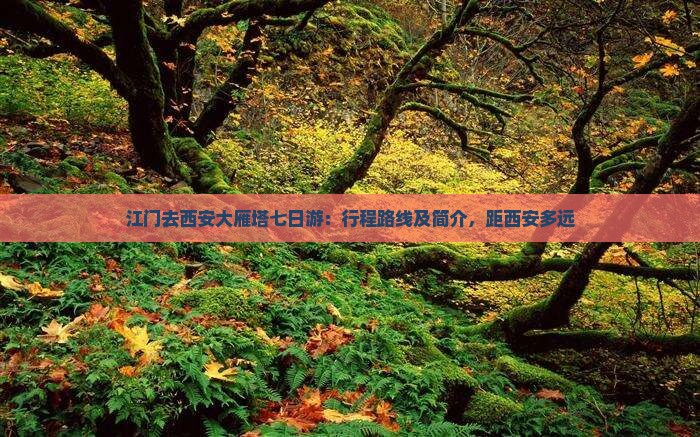 江门去西安大雁塔七日游：行程路线及简介，距西安多远